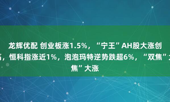 龙辉优配 创业板涨1.5%，“宁王”AH股大涨创新高，恒科指涨近1%，泡泡玛特逆势跌超6%，“双焦”大涨