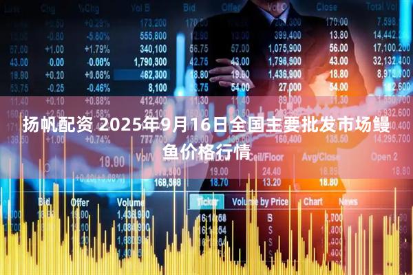 扬帆配资 2025年9月16日全国主要批发市场鳗鱼价格行情