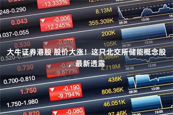 大牛证券港股 股价大涨！这只北交所储能概念股，最新透露