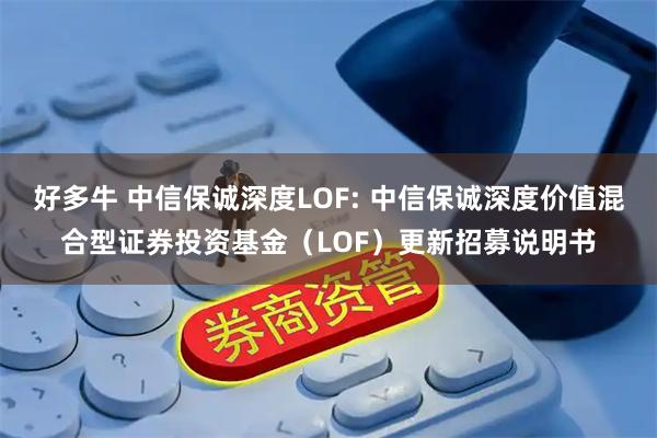 好多牛 中信保诚深度LOF: 中信保诚深度价值混合型证券投资基金（LOF）更新招募说明书