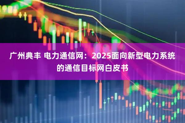 广州典丰 电力通信网：2025面向新型电力系统的通信目标网白皮书