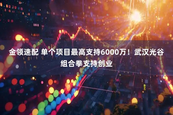 金领速配 单个项目最高支持6000万！武汉光谷组合拳支持创业